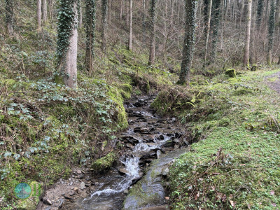 Esch-Sauer – Burgruine mit Turm Runde von Esch-sur-Sûre