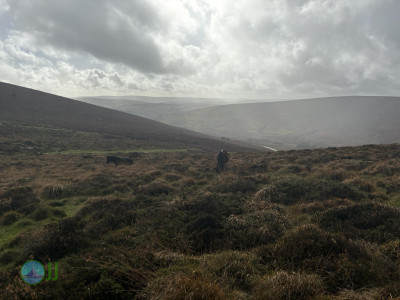 Dartmoor National Park