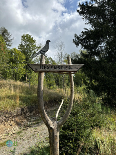 Harzer-Hexen-Stieg - Day 2 - From Torfhaus to Neuwerk