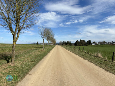 Hike to Brasserie Lupulus