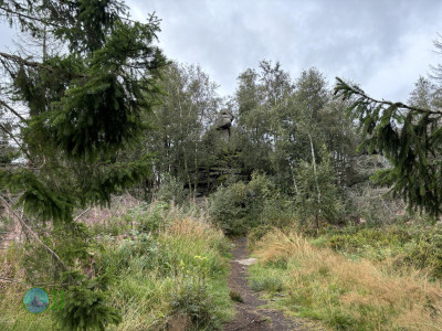 Harzer-Hexen-Stieg - Day 2 - From Torfhaus to Neuwerk