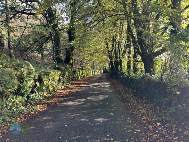 Dartmoor National Park Photo