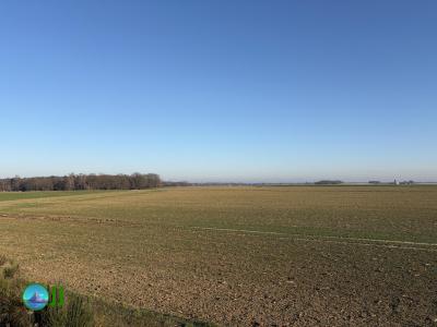 Hike from Hückelhoven to Roermond (26-12-2025)