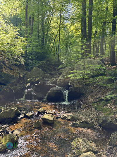 On foot to the Ardennes - Day 2 - From Tiège to Grandmenil