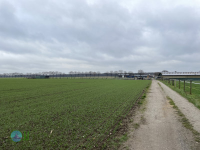 Dülken, Hardt, Waldniel