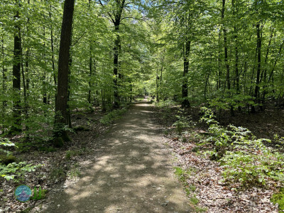 On foot to the Ardennes - Day 1 - From Aachen to Tiège