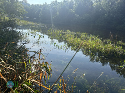 Harzer-Hexen-Stieg - Day 3 - From Neuwerk to Thale