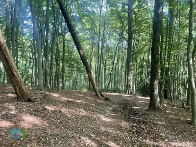 Baldeneysteig
