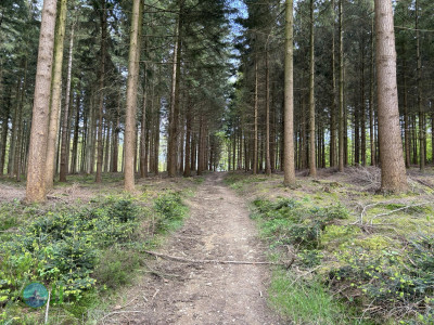 On foot to the Ardennes - Day 1 - From Aachen to Tiège