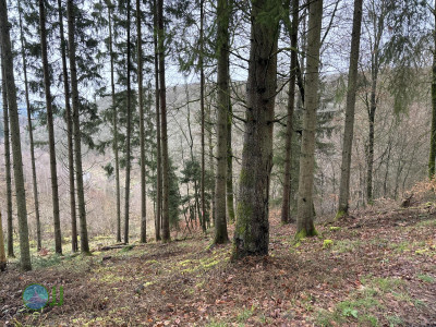 Hike to Chateau de Tavigny