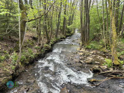 On foot to the Ardennes - Day 2 - From Tiège to Grandmenil