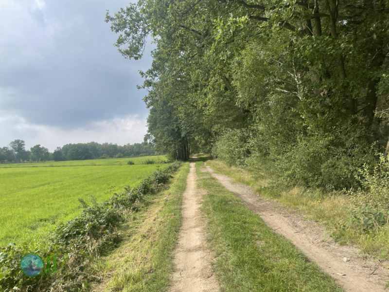 Grafschafter Spurensuche- Auf den Spuren des Moores Photo