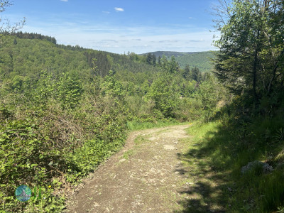 On foot to the Ardennes - Day 3 - From Grandmenil to Roumont