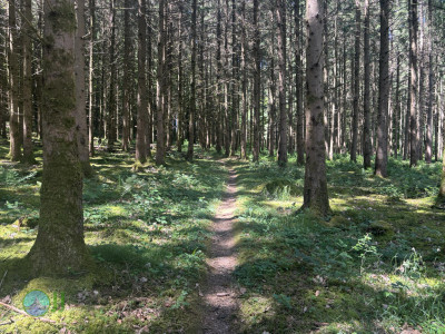 from Luxembourg to Tenneville - Day 2 - from Diekirch to Wiltz