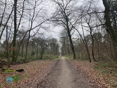 Dülken, Hardt, Waldniel