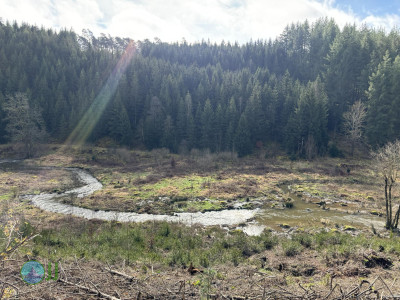 Hike to Brasserie Lupulus
