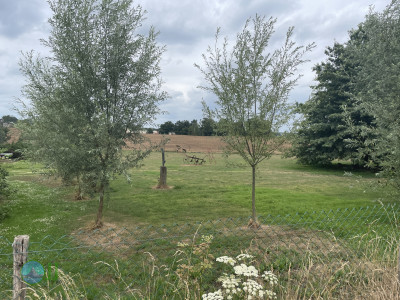 Beeselse Maasronde
