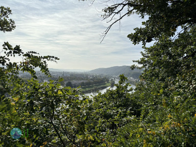 Genovevahöhle – Klausenhöhle loop from Trier