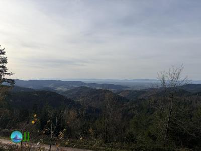 Gengenbach - Oberkirch loop Hiking (13-11-2025)