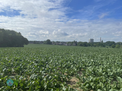 Natur in Süd-Viersen