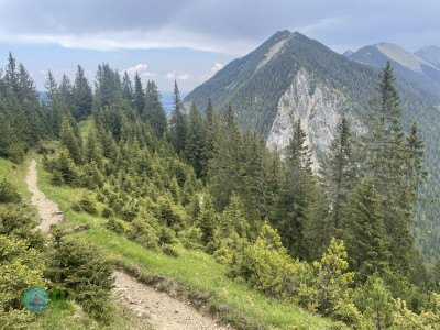 Climbing Wank and Eckenberg