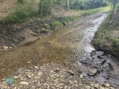 On foot to the Ardennes - Day 2 - From Tiège to Grandmenil