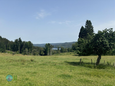 Rursee Runde