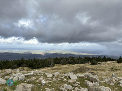 Harz-Tour HWN 11, 9, Urwaldstieg, 22