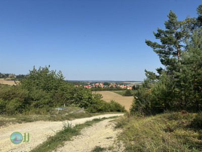 Harzer Klosterwanderweg - Day 1 - From Quedlinburg to Blankenburg