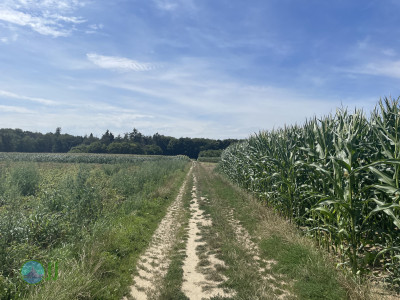 Dülken, Hardt, Waldniel