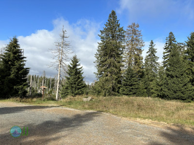 Harz-Tour HWN 136, 168, 12, 217