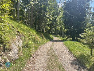 Climbing Schafkopf
