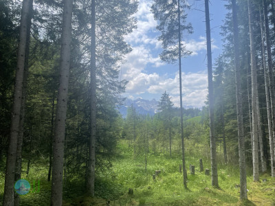 Alpengasthof-Tour