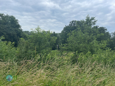 Von Dülken nach Reuver