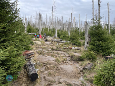 Bergtour am Brocken