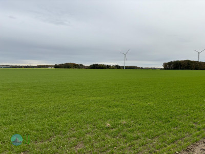 Dülken, Hardt, Waldniel