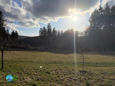 Kell am See - Farschweiler loop Hiking (01-03-2026)