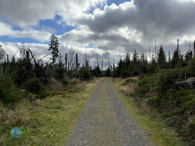 Harz-Tour HWN 136, 168, 12, 217