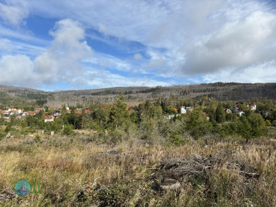 Harz-Tour HWN 11, 9, Urwaldstieg, 22