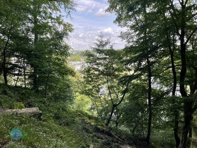 Kett­wiger Pa­no­ra­ma­steig