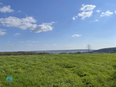 Culmstock Beacon – Black Down Hills, loop from Wellington