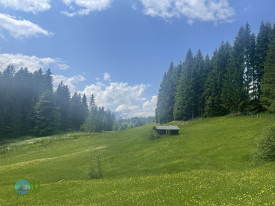 Alpengasthof-Tour
