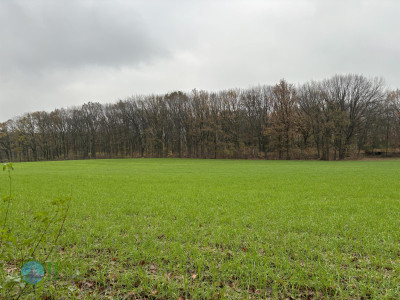 Megamarsch #WirGehenWeiter 2023 Day 1