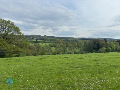 On foot to the Ardennes - Day 2 - From Tiège to Grandmenil