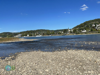 Ahrsteig - Day 3 - From Bad Neuenahr to the Rhine