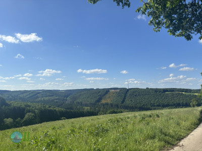 from Luxembourg to Tenneville - Day 2 - from Diekirch to Wiltz
