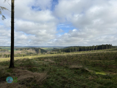 Hike to Brasserie Lupulus
