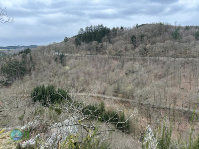 Resting place. – Le long du ruisseau de Cowan loop from Houffalize