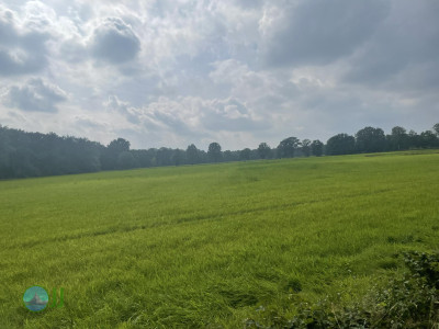 Grafschafter Spurensuche- Auf den Spuren des Moores