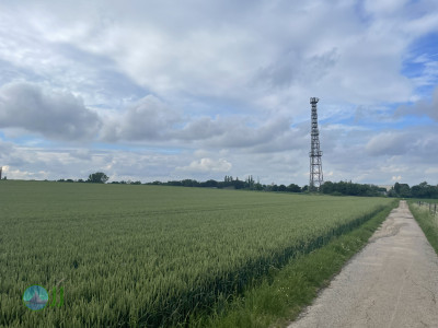 Natur in Süd-Viersen